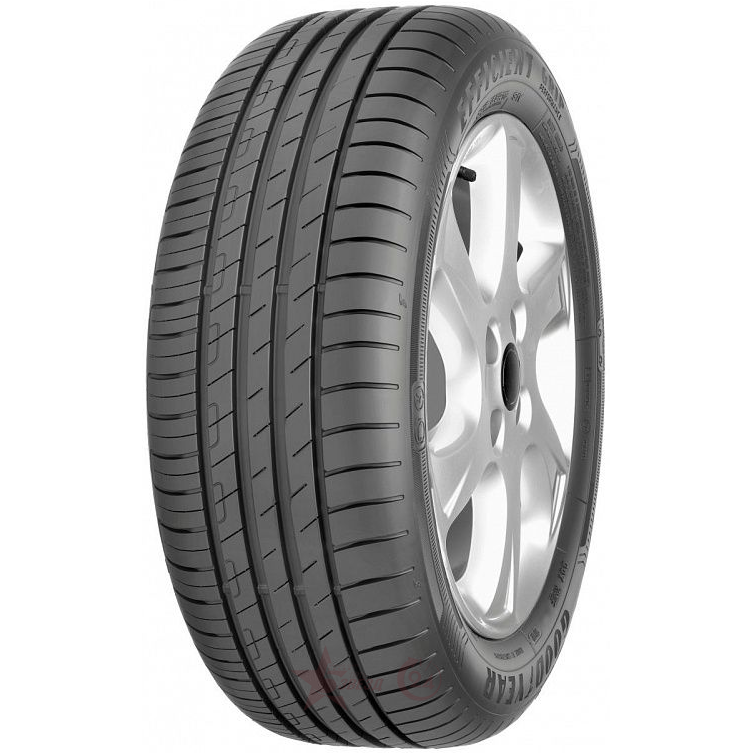 Легковые шины Goodyear EfficientGrip Performance 205/55 R19 97H XL FP купить с бесплатной доставкой в пункты выдачи в Петербурге