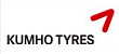 Легковые шины Kumho купить с бесплатной доставкой в пункты выдачи в Петербурге